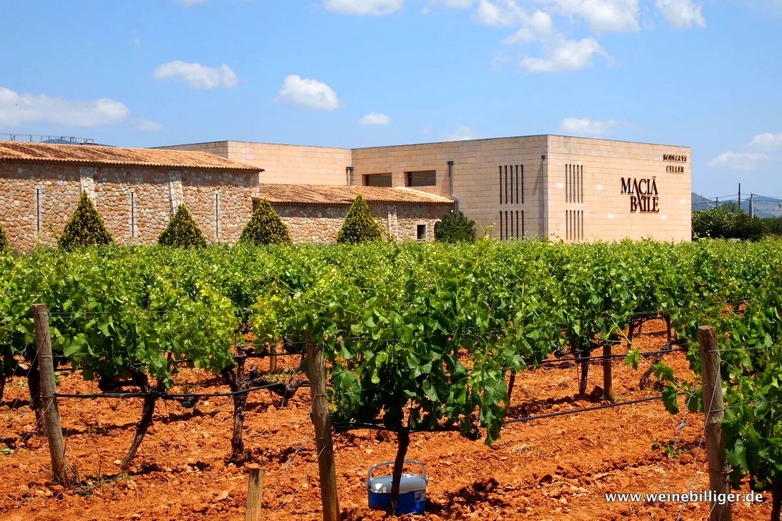 Bodega Macià Batle